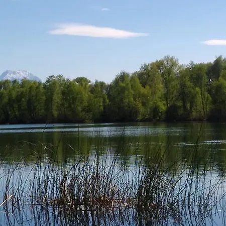 Business Хоэнемс